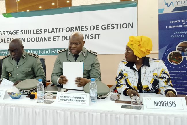 PanelDouaneModelsis
