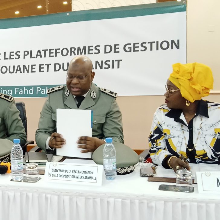 PanelDouaneModelsis